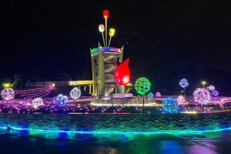 チューリップ公園KIRAKIRAミッション2025