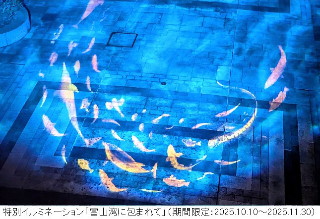 環水公園スイートイルミネーション2025 サブ画像