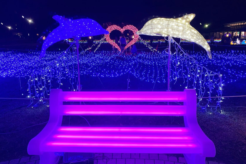 おやべイルミ2025 サブ画像