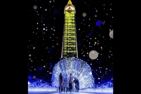 おやべイルミ2025