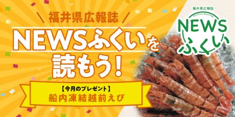 毎月第4日曜日発刊の福井県広報誌『NEWSふくい』を読もう♪ 2025年12月号は「船内凍結越前えび」をプレゼント！