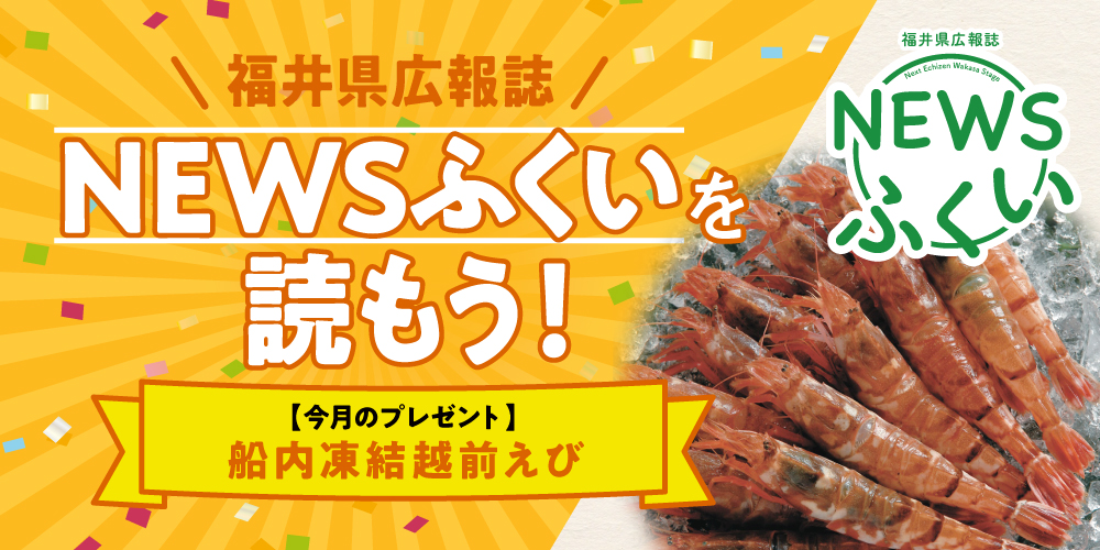 毎月第4日曜日発刊の福井県広報誌『NEWSふくい』を読もう♪ 2025年12月号は「船内凍結越前えび」をプレゼント！