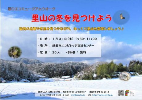 里山の冬を見つけよう