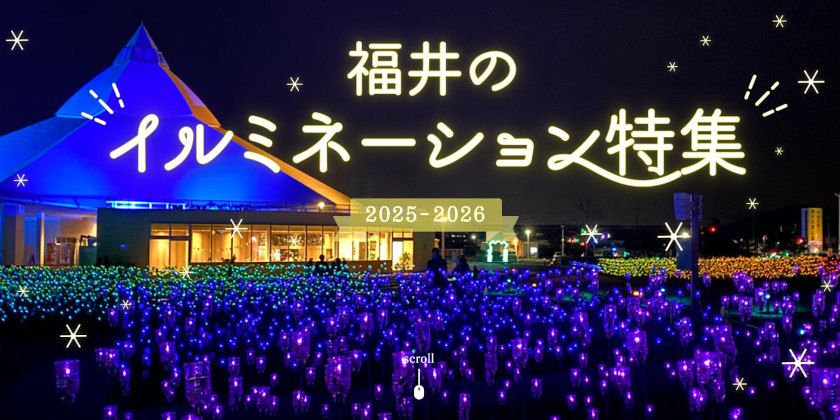 イルミネーションまとめ