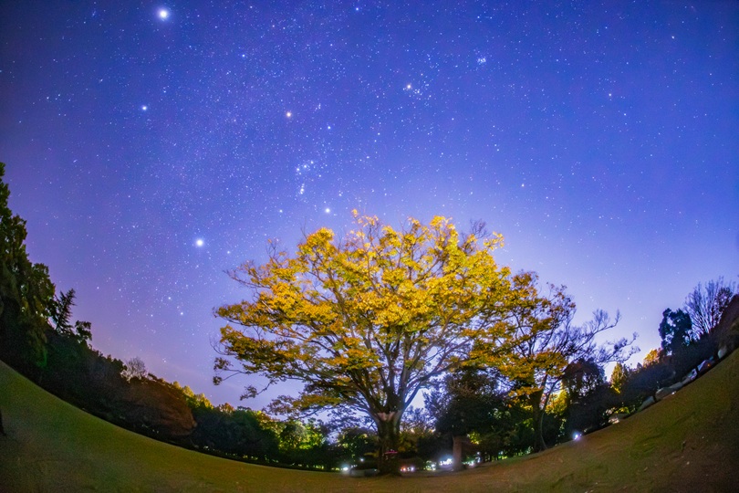 紅葉と星空の撮影に挑戦！坂井市・福井県総合グリーンセンターで星を見てきました【ふくい星空写真館】