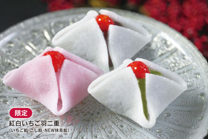 年末年始のご挨拶に、花えちぜん サブ画像