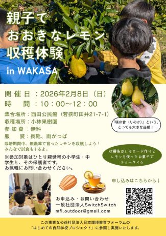 親子でおおきなレモン収穫体験