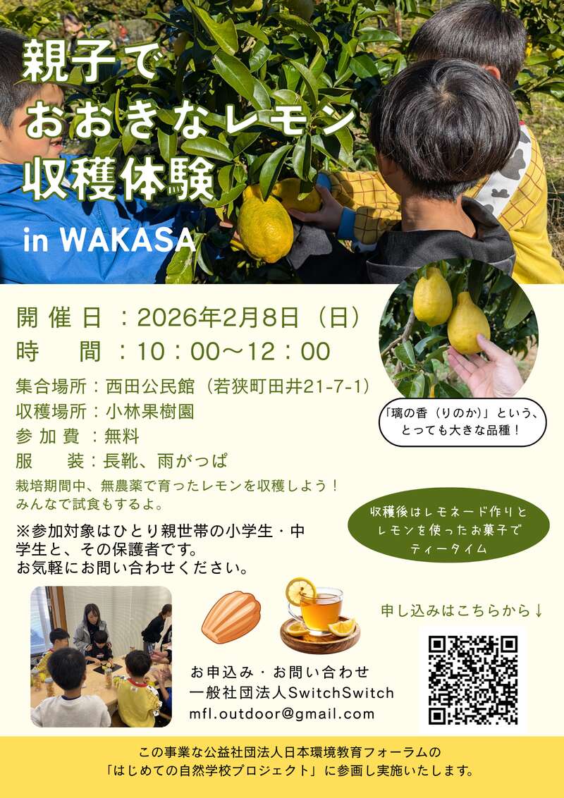 親子でおおきなレモン収穫体験 メイン画像