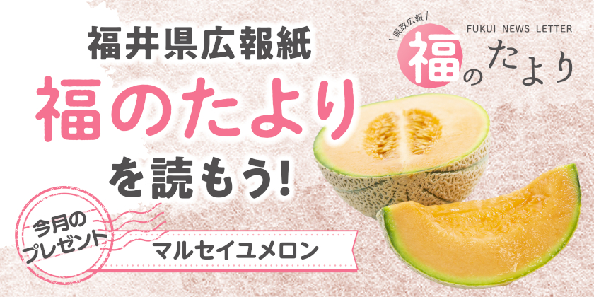 【2026サンプル用】 毎月第4日曜日発刊の福井県広報誌『福のたより』を読もう♪ 2026年6月号は「マルセイユメロン」をプレゼント！