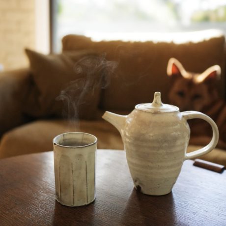 【犬と猫と人間（僕）の徒然なる日常。】第36話：どれにしようかな。