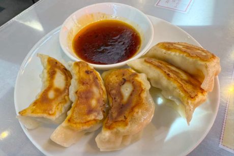 むっちり厚皮に餡がぎっしり。鯖江市・九龍飯店の「焼き餃子」【連載】福井の餃子巡り