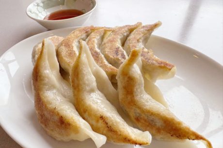 箸が止まらない！しっとり餡がやみつきに。福井市・森餃子の「餃子」【連載】福井の餃子巡り