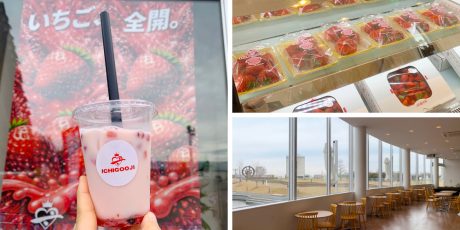 農家直営のいちごカフェが春江・ゆりの里公園にできるみたい!摘みたていちごでちょっと一息。