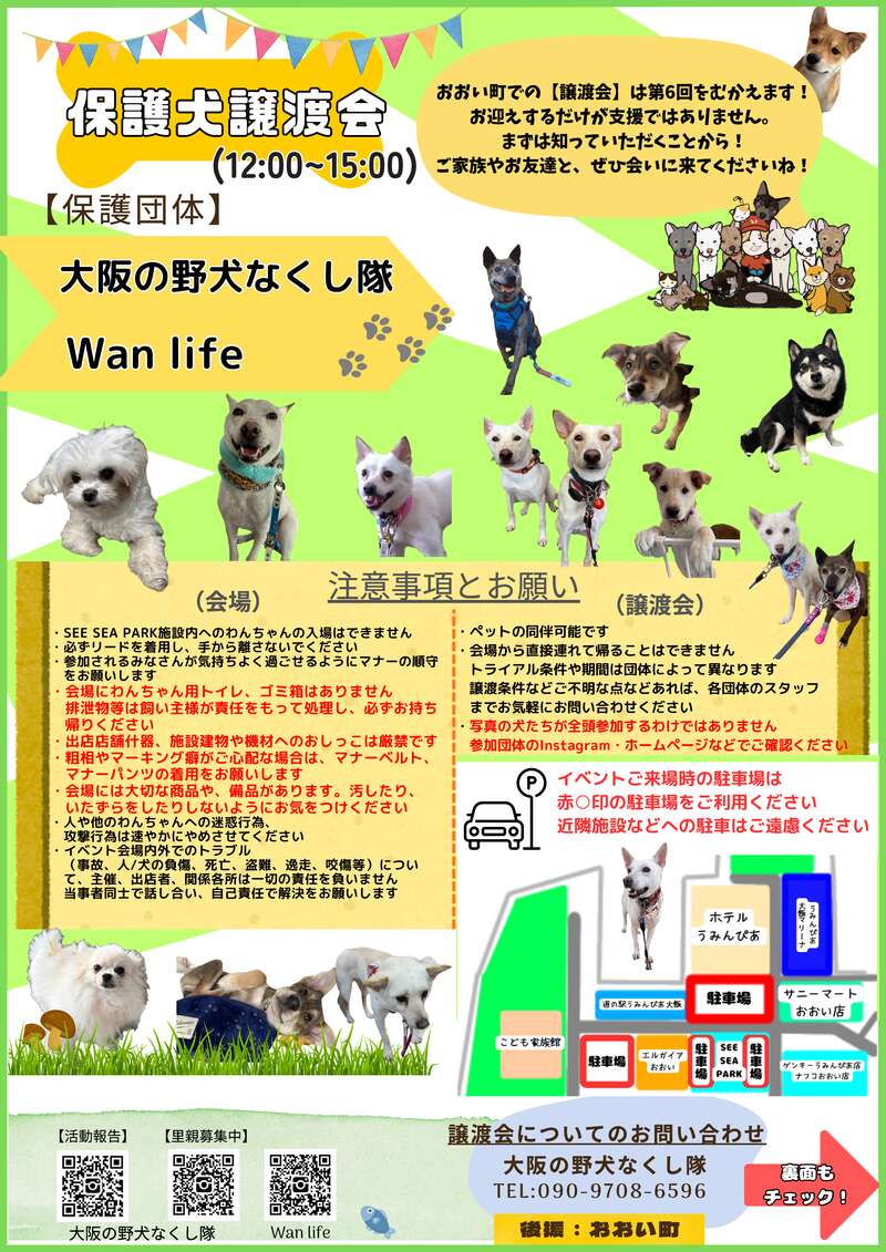 DOG SPORTS FESTIVAL with 保護犬譲渡会 サブ画像