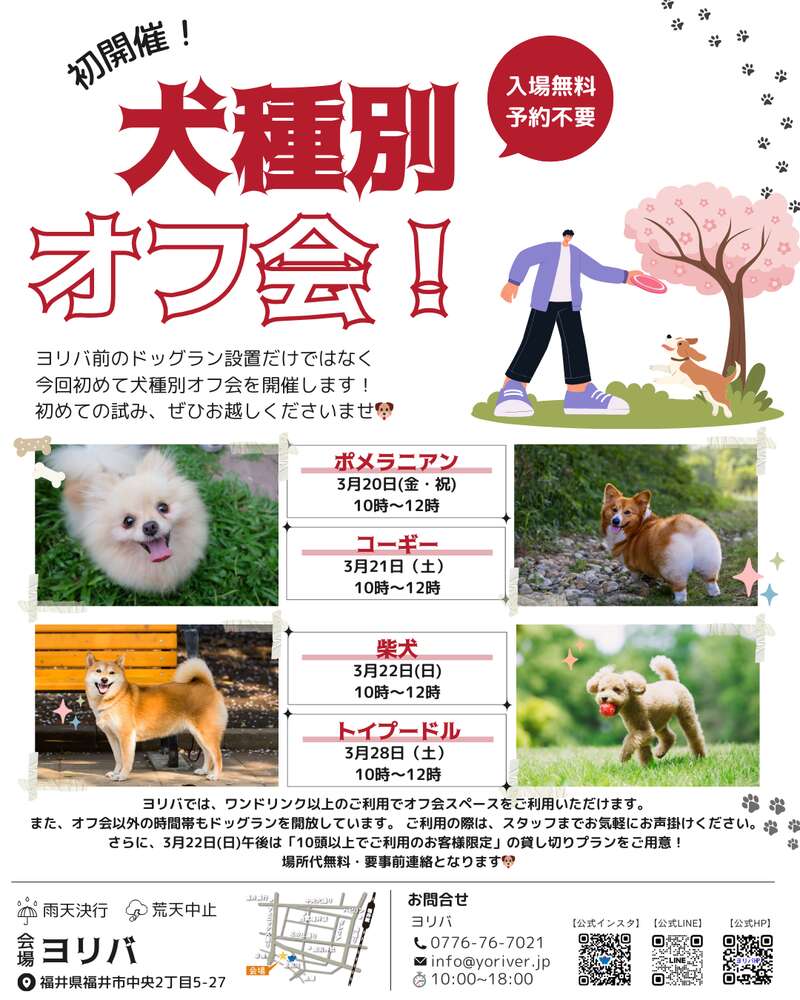 ヨリバ犬種別オフ会～ポメラニアン～開催 メイン画像