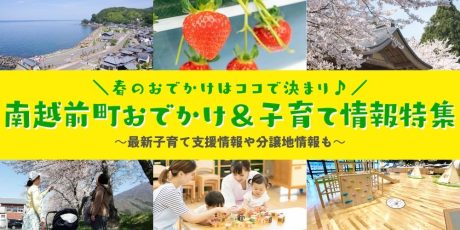 桜とイチゴと遊び場を求めて南越前町へ春ドライブ♪ 子育てにやさしい町は、最大500万円の補助金など、ビッグな移住支援満載の町だった。