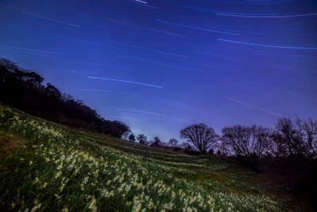 越前水仙と見上げる星空風景!越前町・梨子ヶ平で星を見てきました【ふくい星空写真館】
