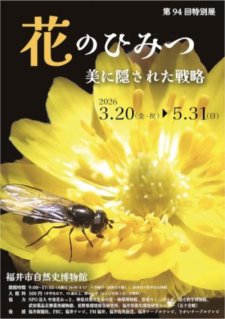 花のひみつ 美に隠された戦略