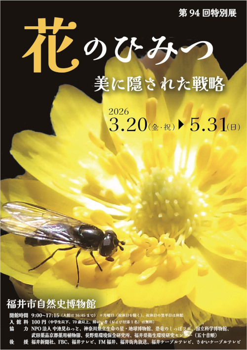 花のひみつ 美に隠された戦略 メイン画像