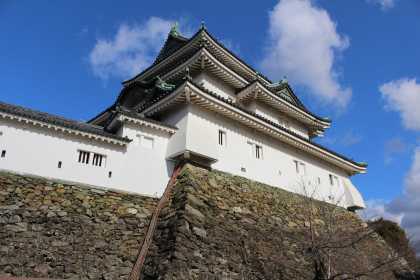 【和歌山】その時、歴史が動き出す！？ニュースになってほしい和歌山城《街角リレーエッセイ 第11レーン》