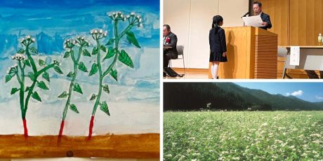 2026年の優秀賞は福井の小学生！自分で育てたそばの花を描く「そばの花観察運動」参加校募集中！