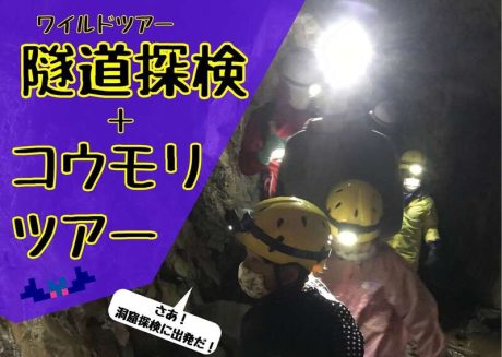 ワイルドツアー 隧道探検+コウモリツアー
