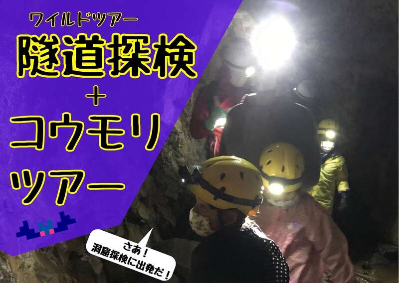 ワイルドツアー　隧道探検＋コウモリツアー メイン画像
