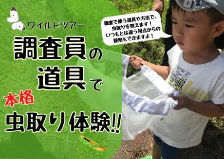 ワイルドツアー　調査員の道具で本格虫取り体験！
