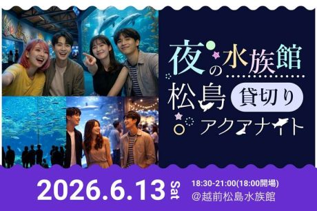 松島アクアナイト