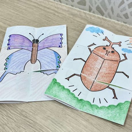 こんちゅうしかけ絵本