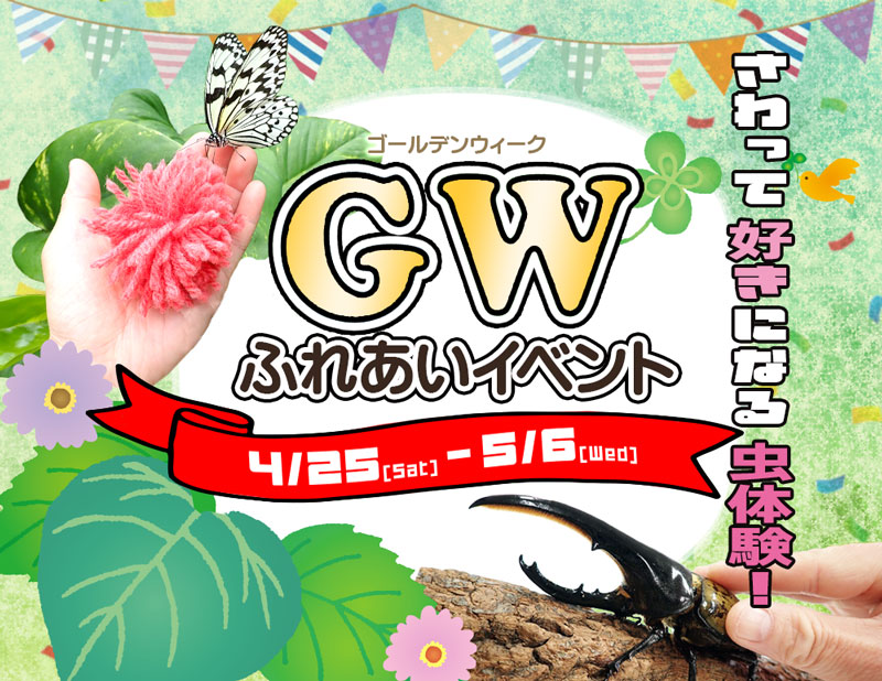 GWふれあいイベント［石川県ふれあい昆虫館］ メイン画像