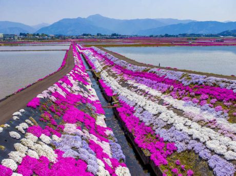 【福井】福井で一番好きな場所《街角リレーエッセイ 第12レーン》