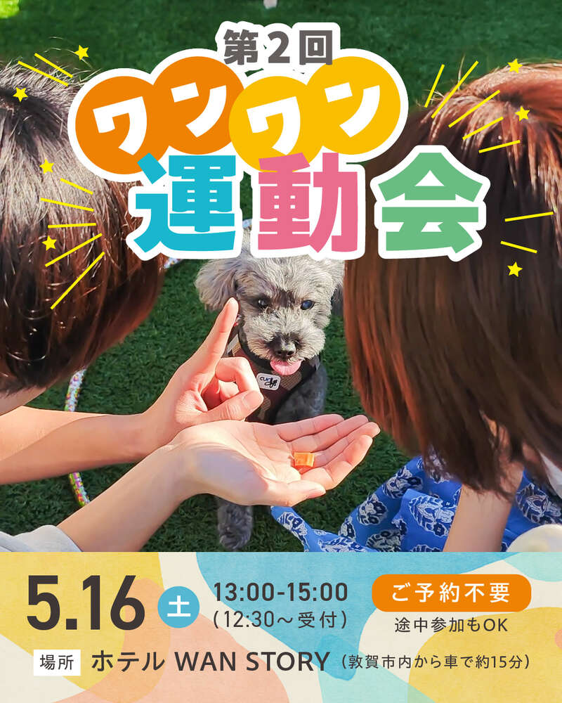 愛犬と楽しむ！ワンワン運動会 メイン画像