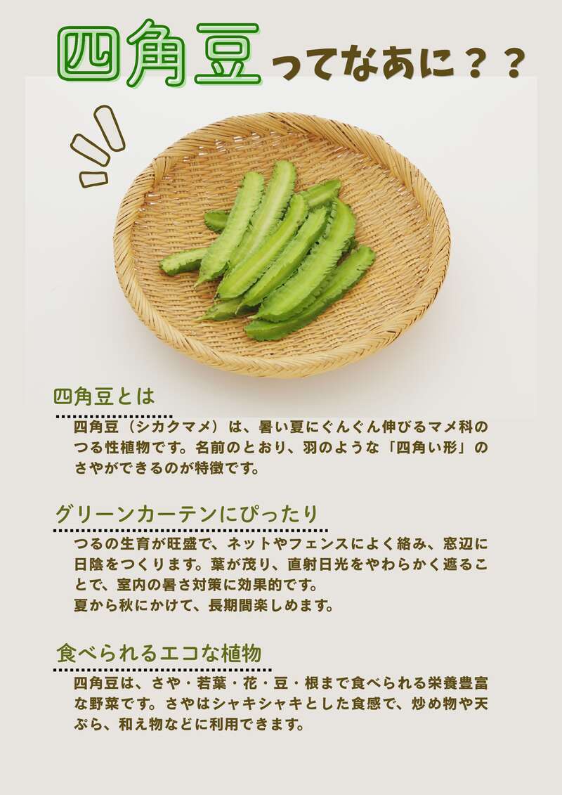グリーンカーテンで夏をCOOLに過ごそう サブ画像