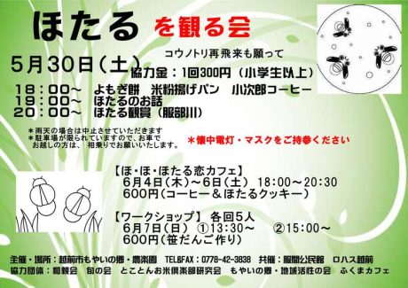 ほたるを観る会