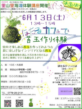 ほたるカフェで苔玉作り体験！