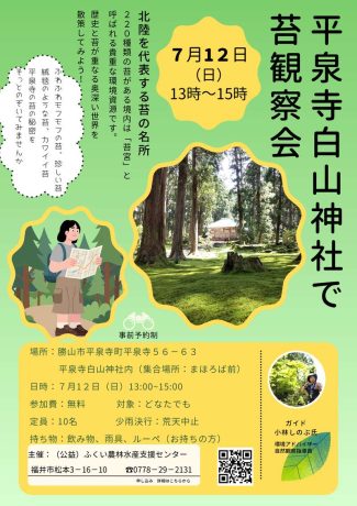 平泉寺白山神社で苔観察会