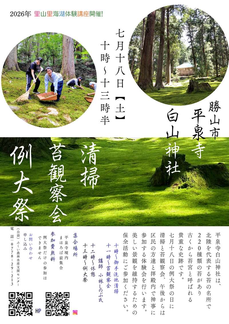 平泉寺白山神社で清掃・苔観察会・例大祭参加体験 メイン画像