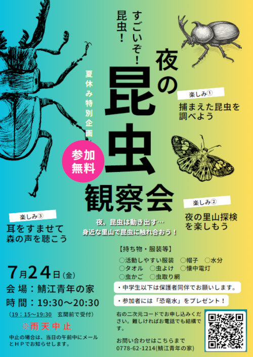 夜の昆虫観察会 メイン画像