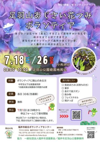 足羽山あじさい花つみボランティア