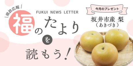 毎月第4日曜日発刊の福井県広報誌『福のたより』を読もう♪ 2026年8月号は「坂井市産 梨（あきづき）」をプレゼント！