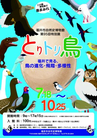 特別展「とりトリ鳥-福井で見る、鳥の進化・飛翔・多様性」