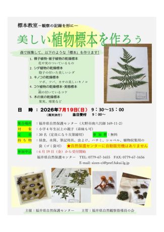 自然観察会『美しい植物標本を作ろう』