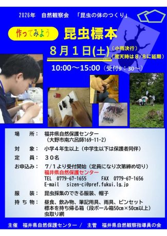 自然観察会『昆虫の体のつくりー作ってみよう昆虫標本ー』