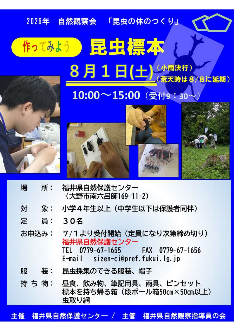 自然観察会『昆虫の体のつくりー作ってみよう昆虫標本ー』 メイン画像