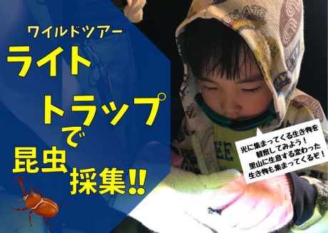 ワイルドツアー ライトトラップで昆虫採集!