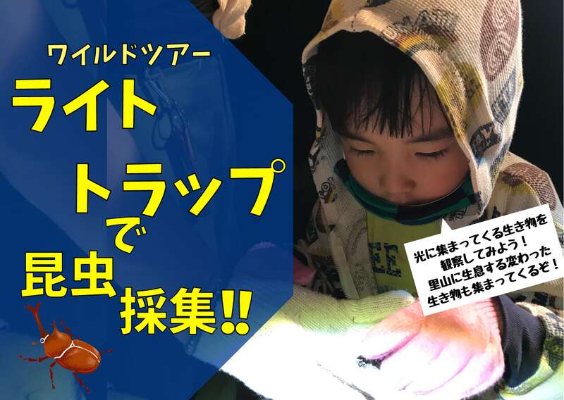 ワイルドツアー ライトトラップで昆虫採集! メイン画像