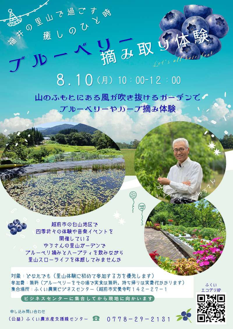 里山で過ごす癒しのひと時「ブルーベリー摘み体験」 メイン画像