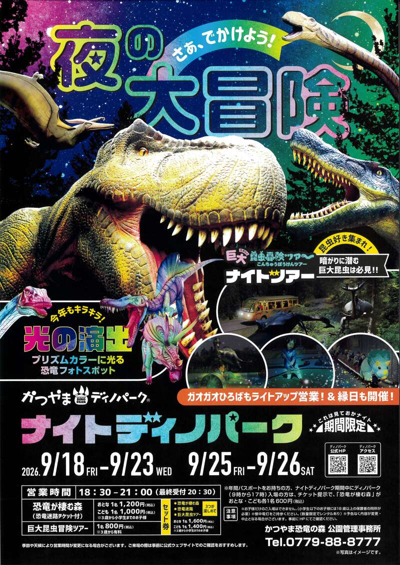 ナイトディノパーク メイン画像