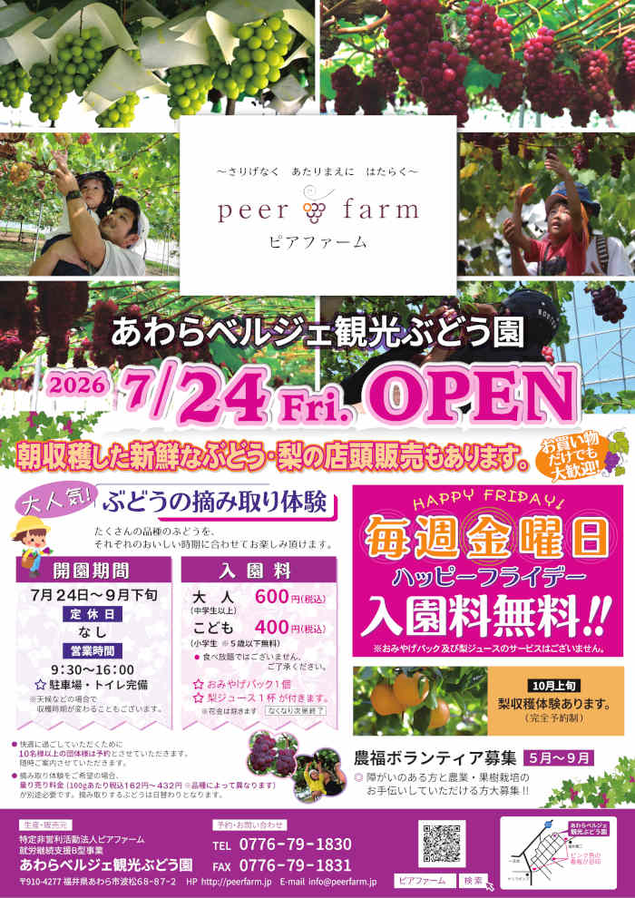 あわらのぶどう園に行こう! メイン画像